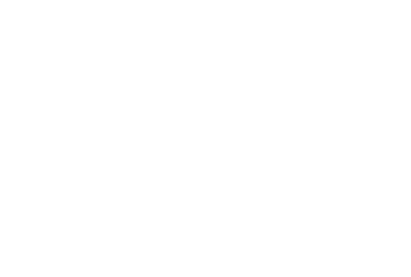 Dessin de feuilles en filigrane (2)