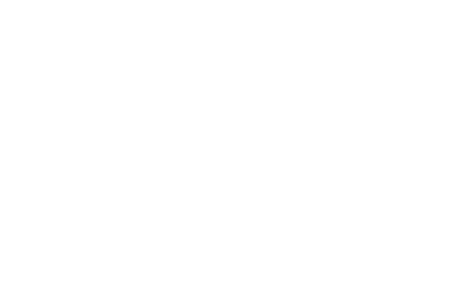 Dessin de feuilles en filigrane (3)